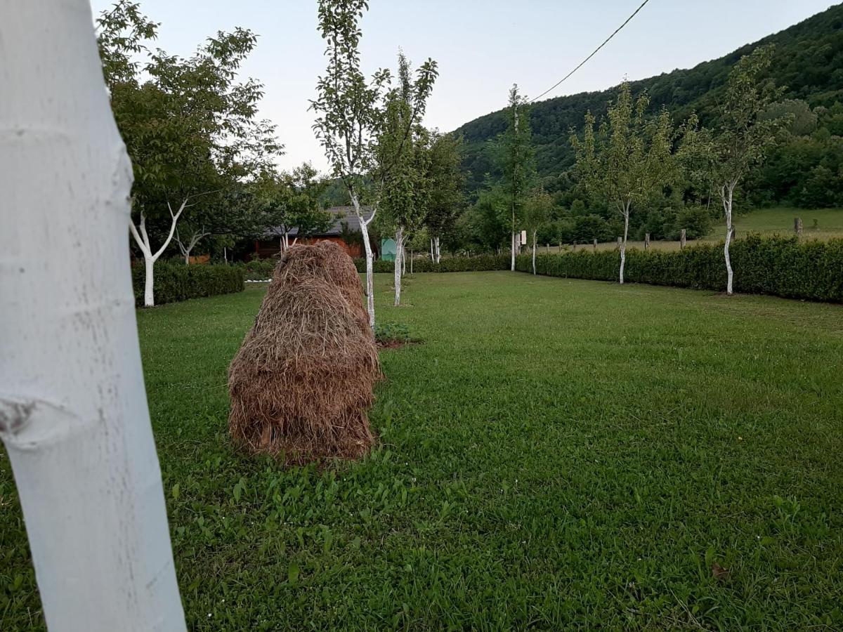 Rest House Ripac Prascijak Esterno foto